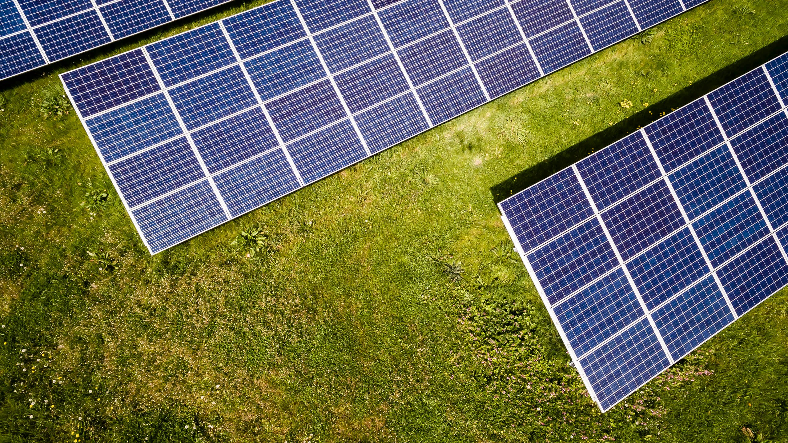 Solaire photovoltaïque : interview de Daniel Mugnier